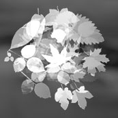 Portfolio Image 9